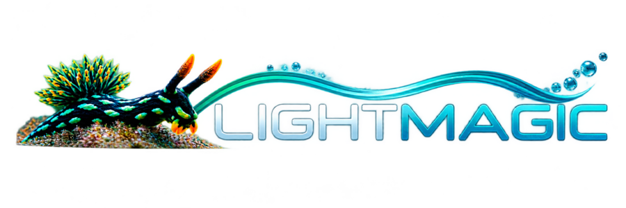 www.lightmagic.ch